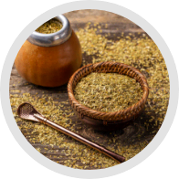 Yerba Mate