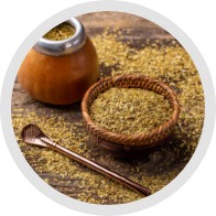 Yerba maté