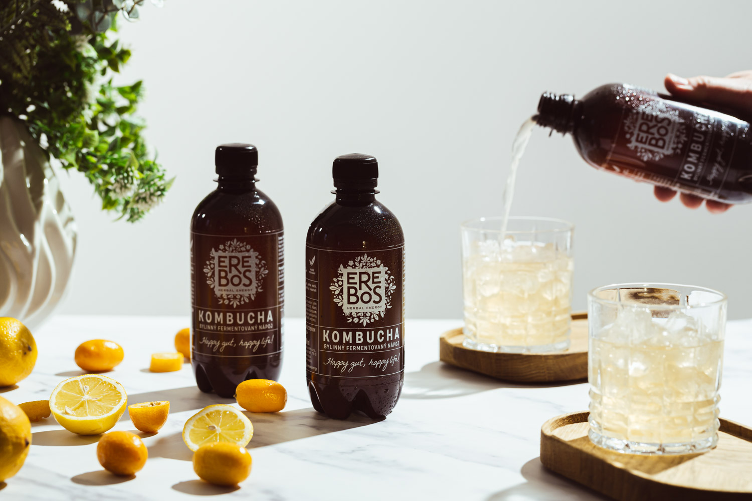 erebos kombucha