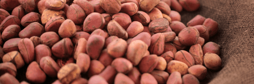 KOLA NUT